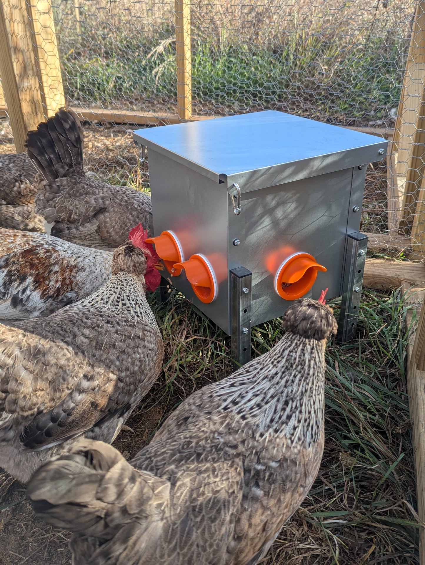 Hen's Choice™ - 25 or 85LB Capacity Automatic Chicken Feeder, Weather Resistant