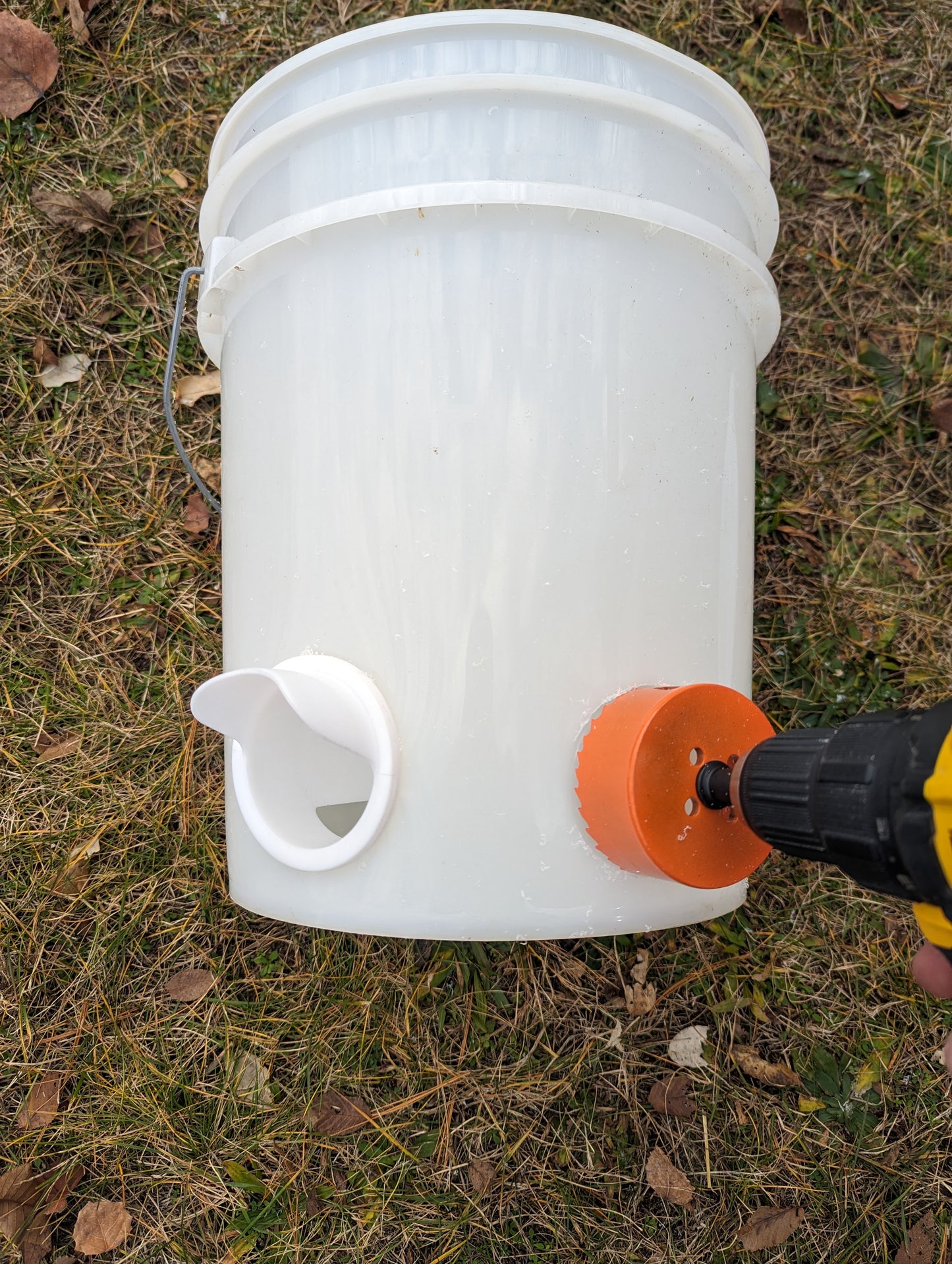 Hen's Choice™ 6 DIY Chicken Feeder Ports | For Chickens Or Guineas