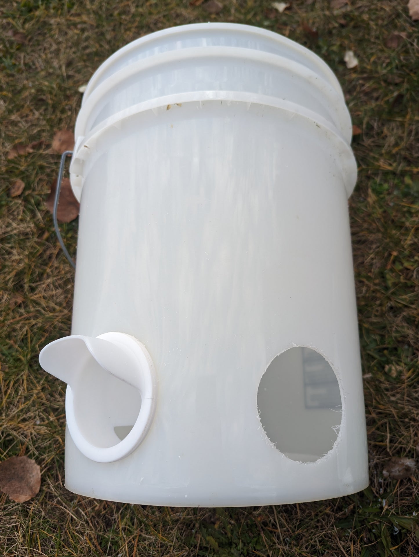 Hen's Choice™ 6 DIY Chicken Feeder Ports | For Chickens Or Guineas