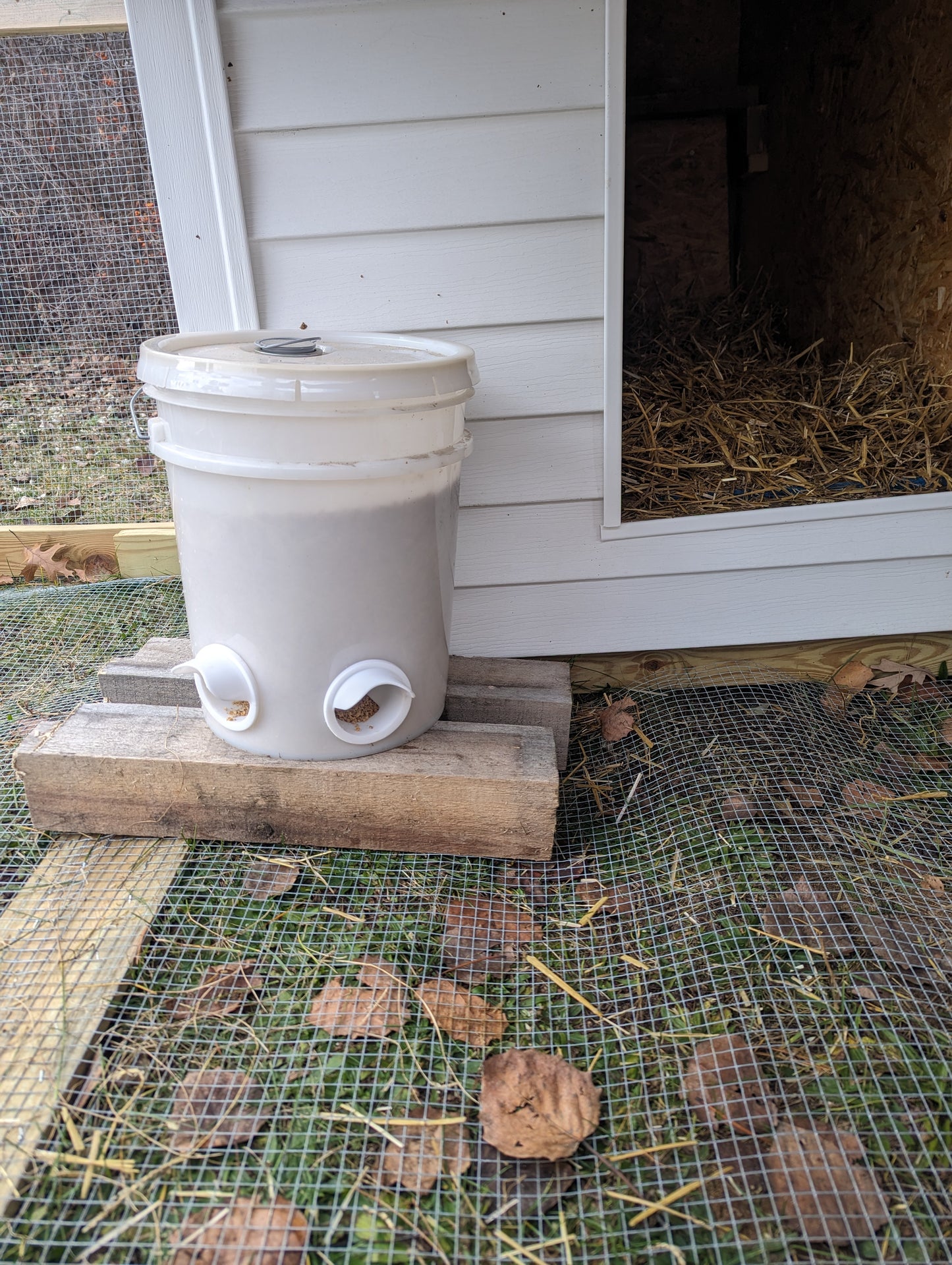 Hen's Choice™ 6 DIY Chicken Feeder Ports | For Chickens Or Guineas
