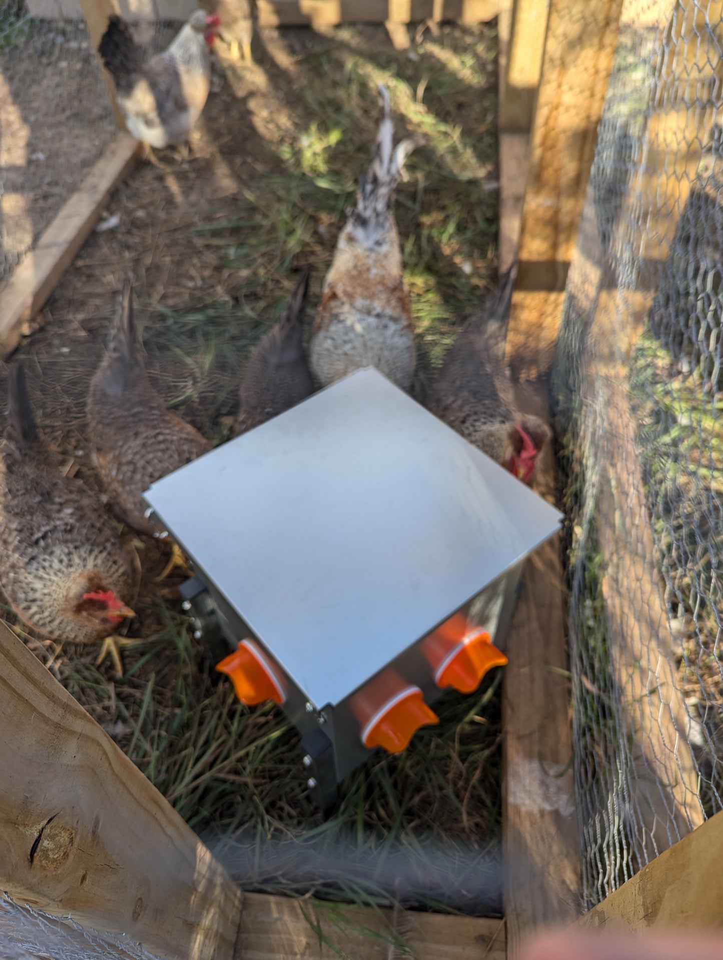 Hen's Choice™ - 25 or 85LB Capacity Automatic Chicken Feeder, Weather Resistant