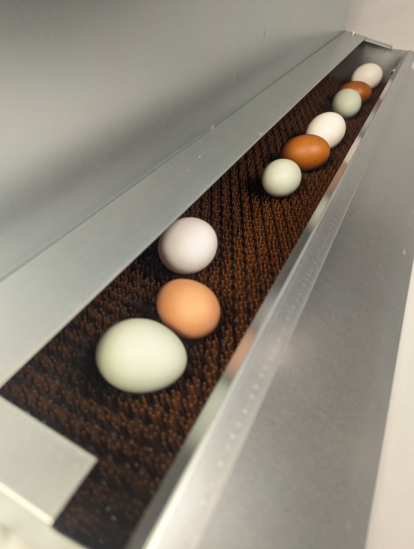 Hen's Choice™ - Roll Out Chicken Nest Box | Reversible | 3 Compartment 36"