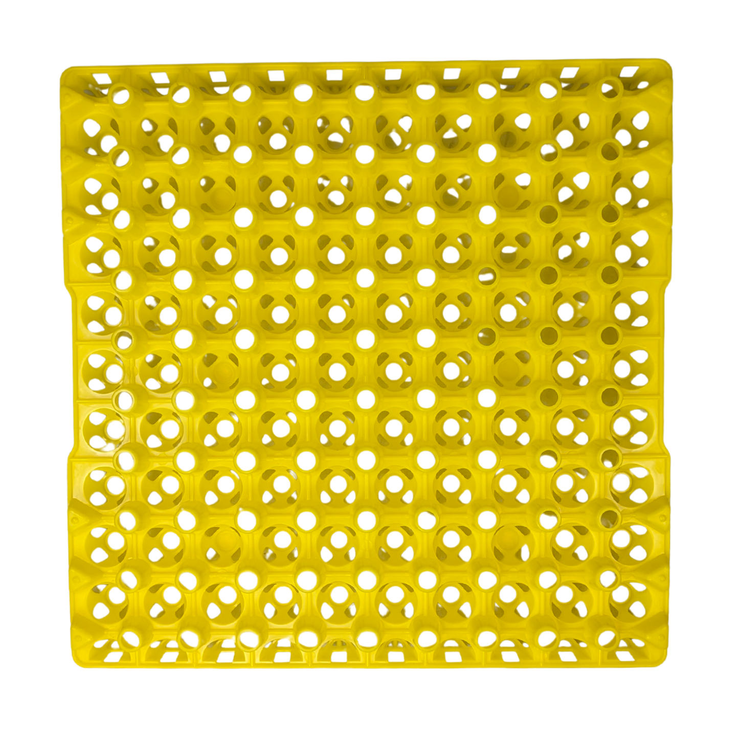 Hen's Choice 90 Egg Plastic Trays for Quail, Pigeon, Dove, Small Birds