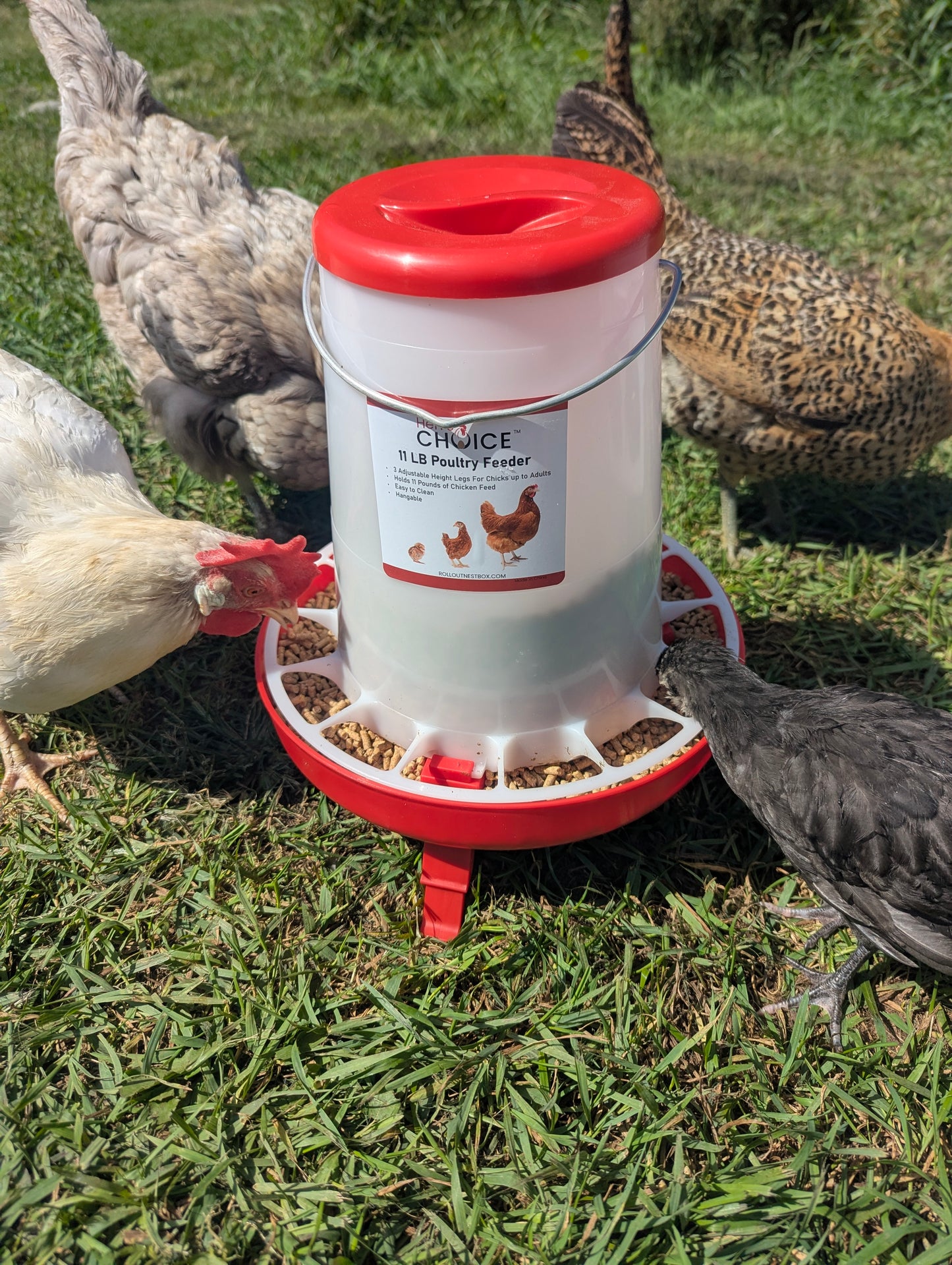 Hen's Choice - 11 LB Poultry Feeder, Twist Lock Base, Adjustable Legs, Hangable with Lid