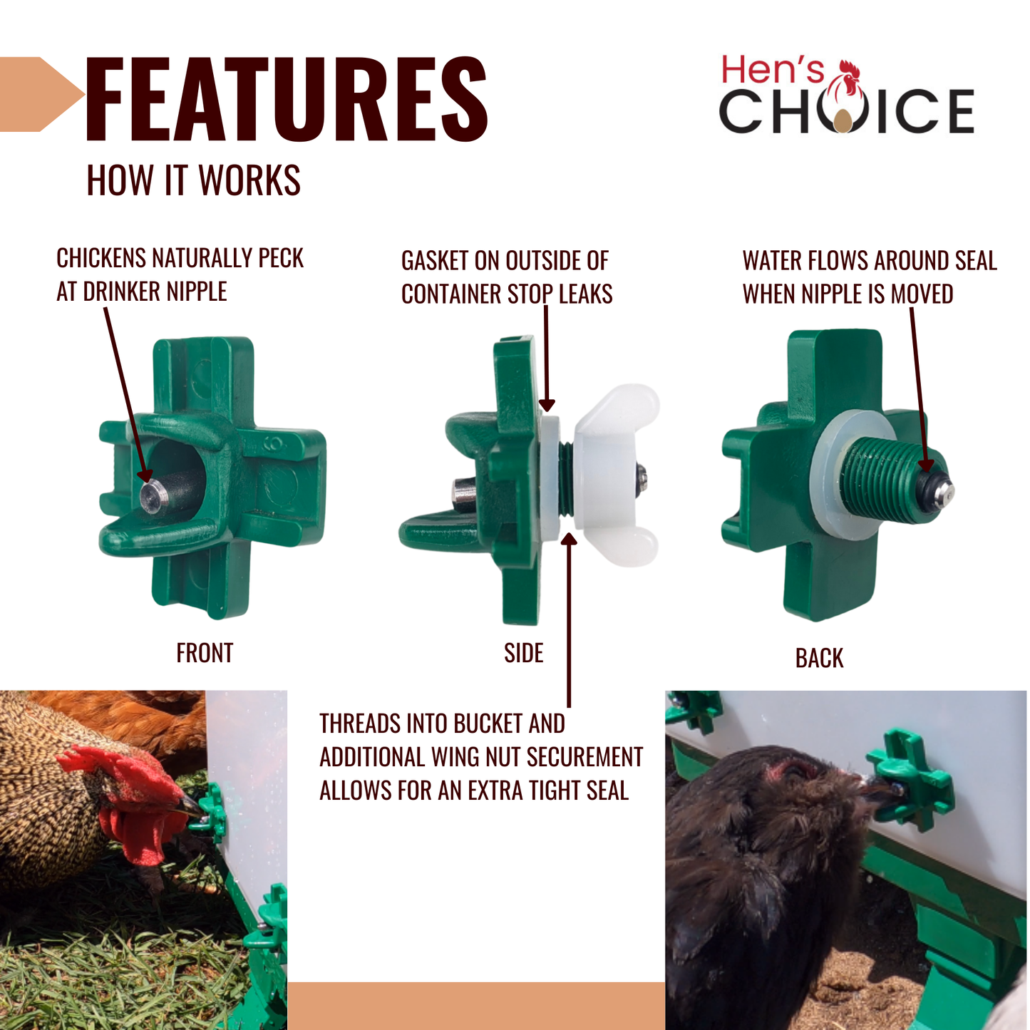 Hen's Choice - 5 Gallon Chicken Waterer with 8 Drinker Nipples, Anti-Roost Lid, Top Fill Design, Heavy Duty Legs