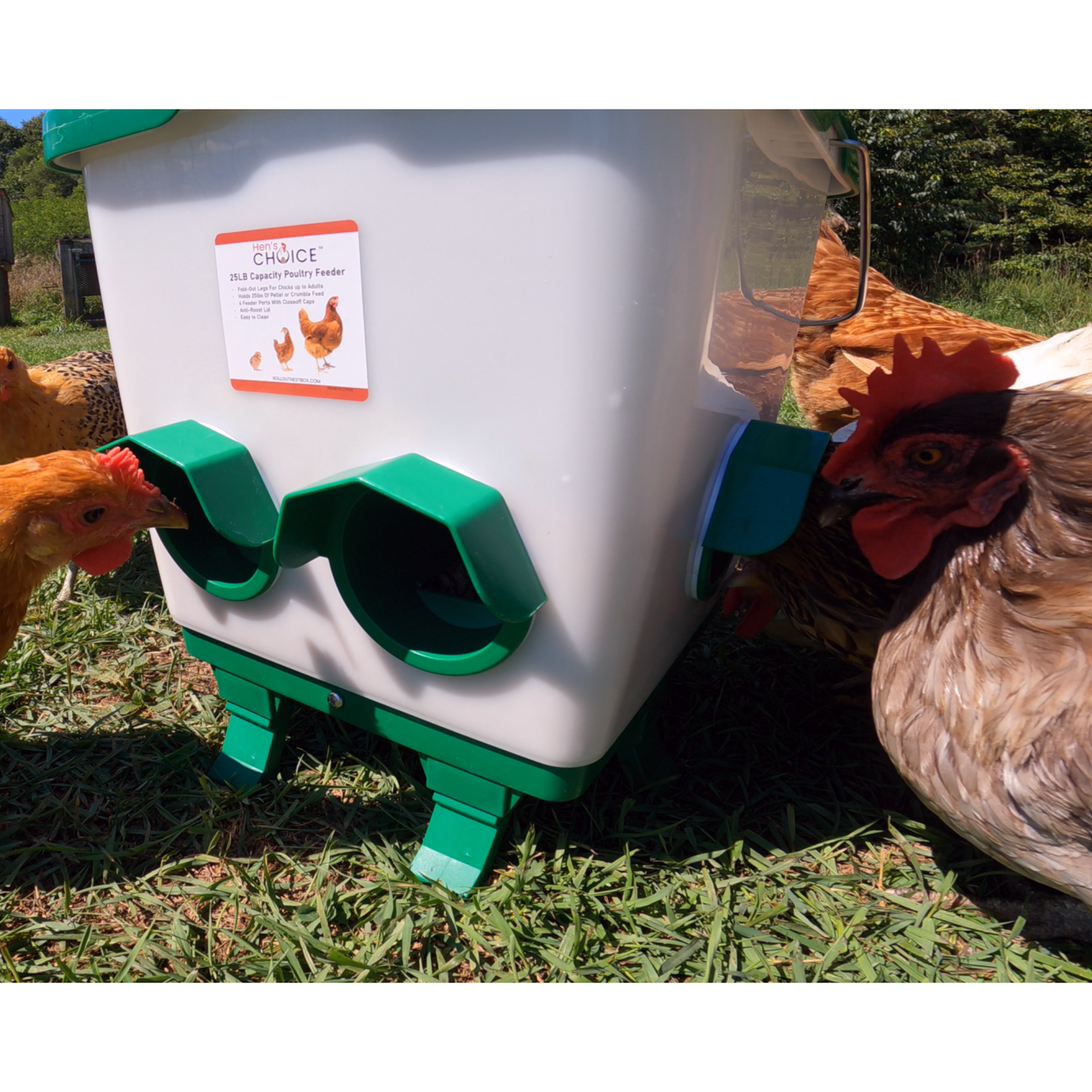 Hen's Choice™ - 25lb Chicken Feeder & 5 Gallon Waterer Set, Anti-Roost Lid, With Legs
