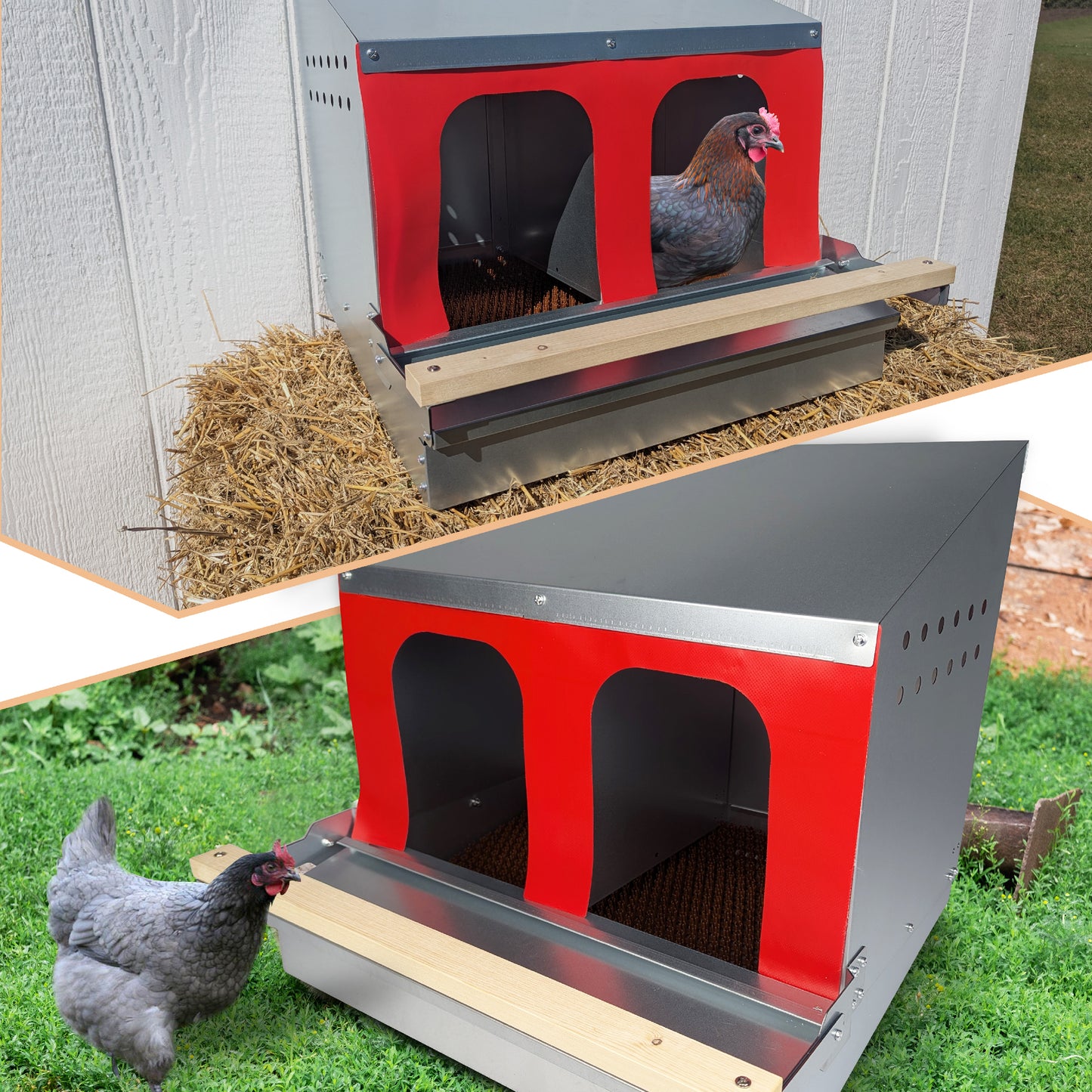 Hen's Choice™ - Roll Out Chicken Nest Box | Roll Away Chicken Nesting Box | 2 Compartment 21"