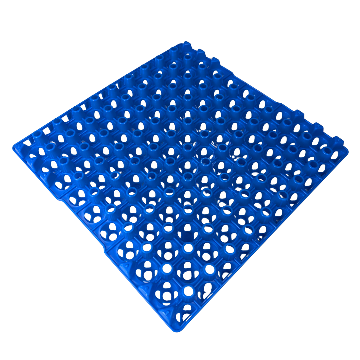 Hen's Choice 90 Egg Plastic Trays for Quail, Pigeon, Dove, Small Birds