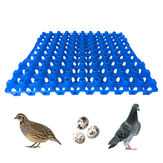 Hen's Choice 90 Egg Plastic Trays for Quail, Pigeon, Dove, Small Birds