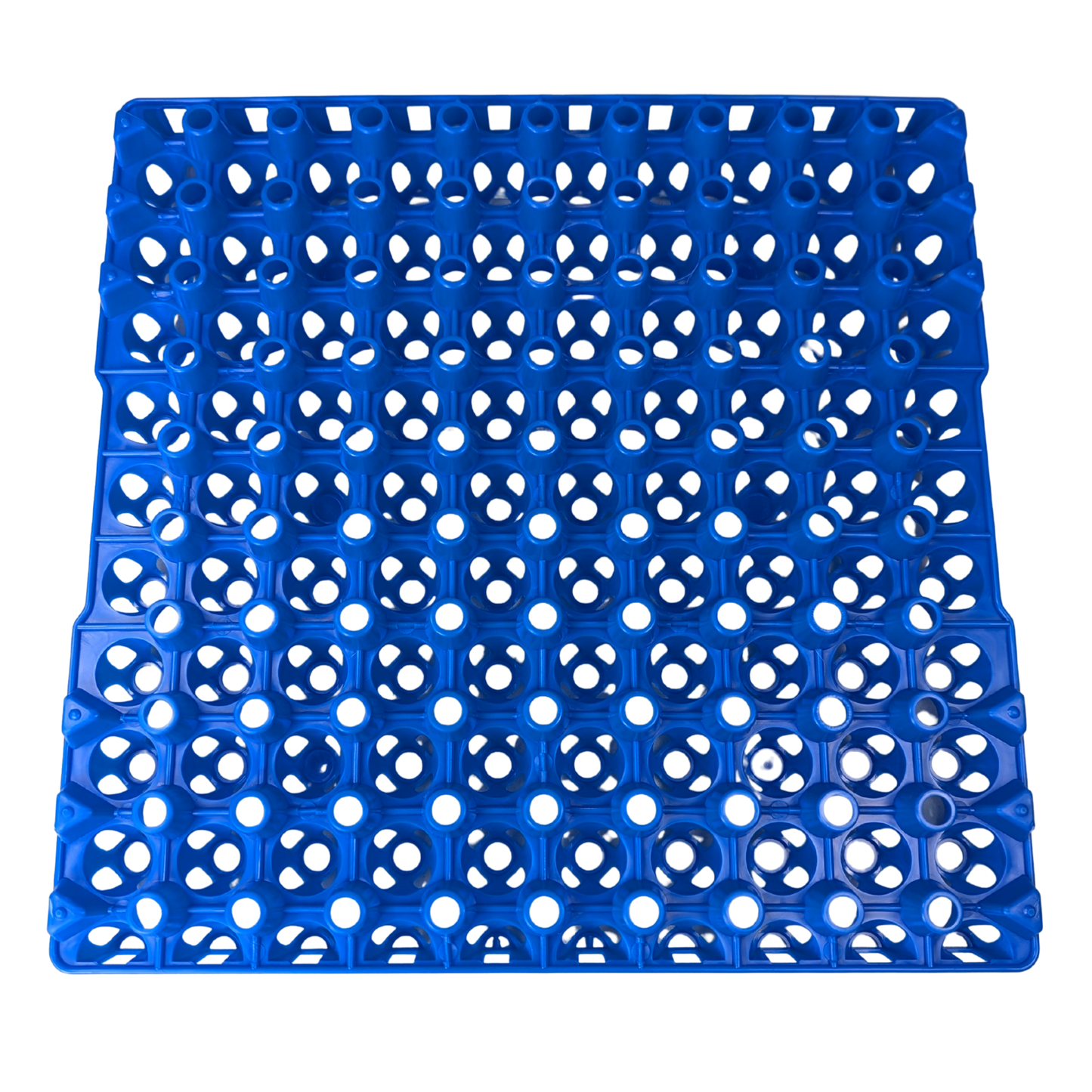 Hen's Choice 90 Egg Plastic Trays for Quail, Pigeon, Dove, Small Birds