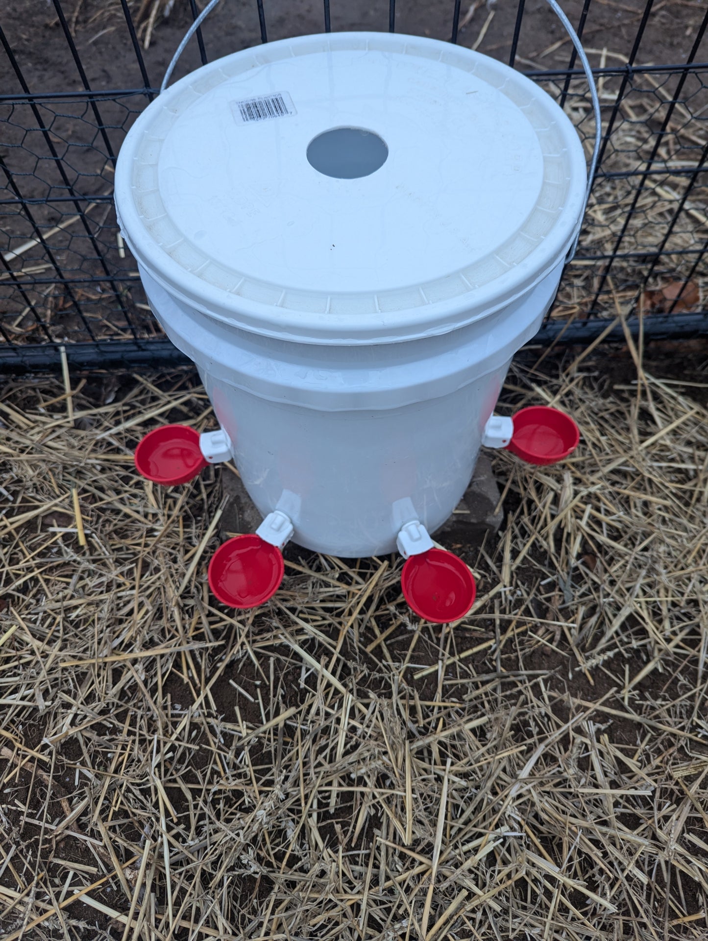 Hen's Choice™ - Large Automatic Chicken Waterer Cups, Poultry Water Kit