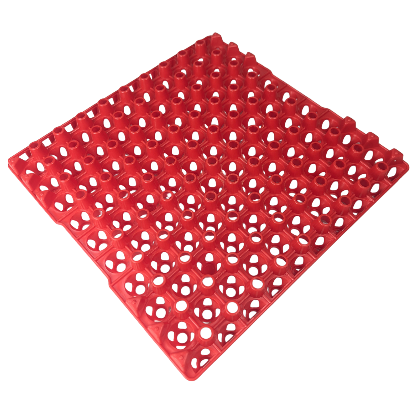 Hen's Choice 90 Egg Plastic Trays for Quail, Pigeon, Dove, Small Birds