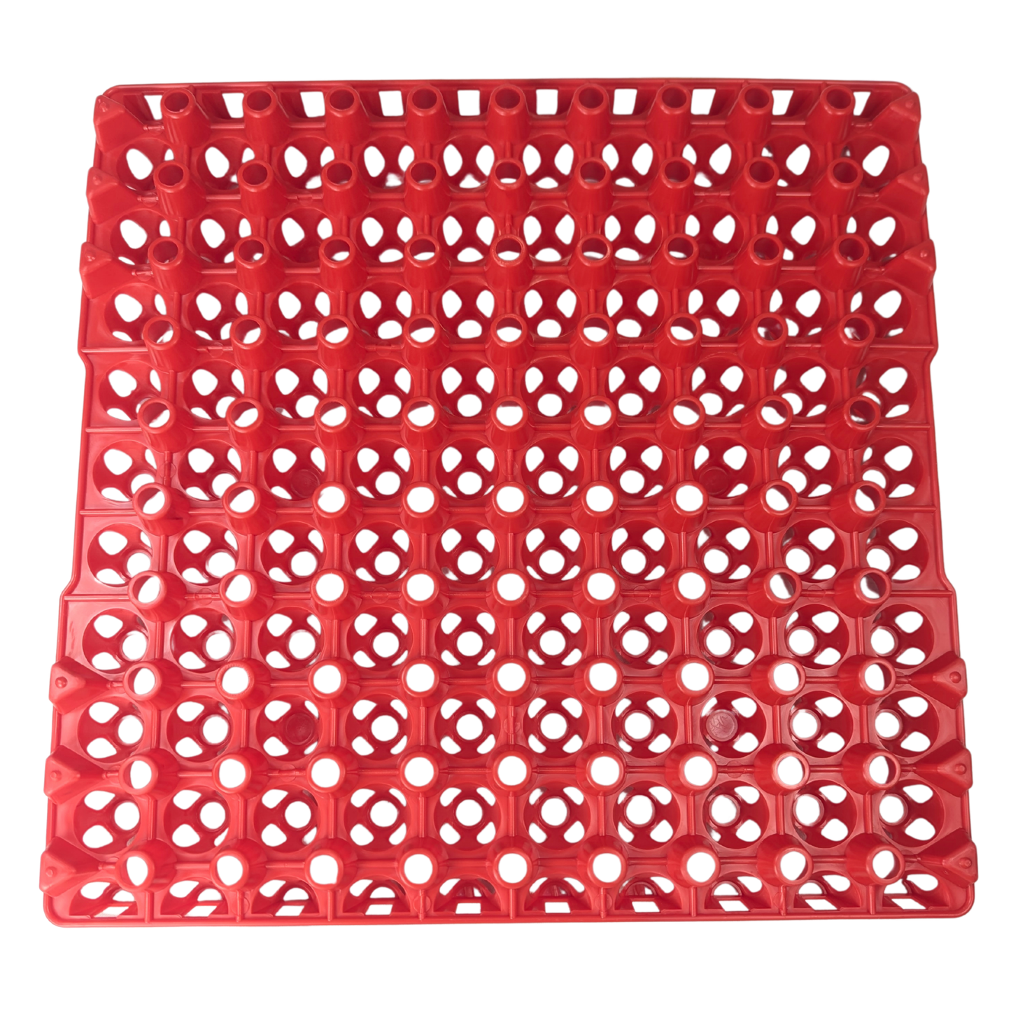 Hen's Choice 90 Egg Plastic Trays for Quail, Pigeon, Dove, Small Birds