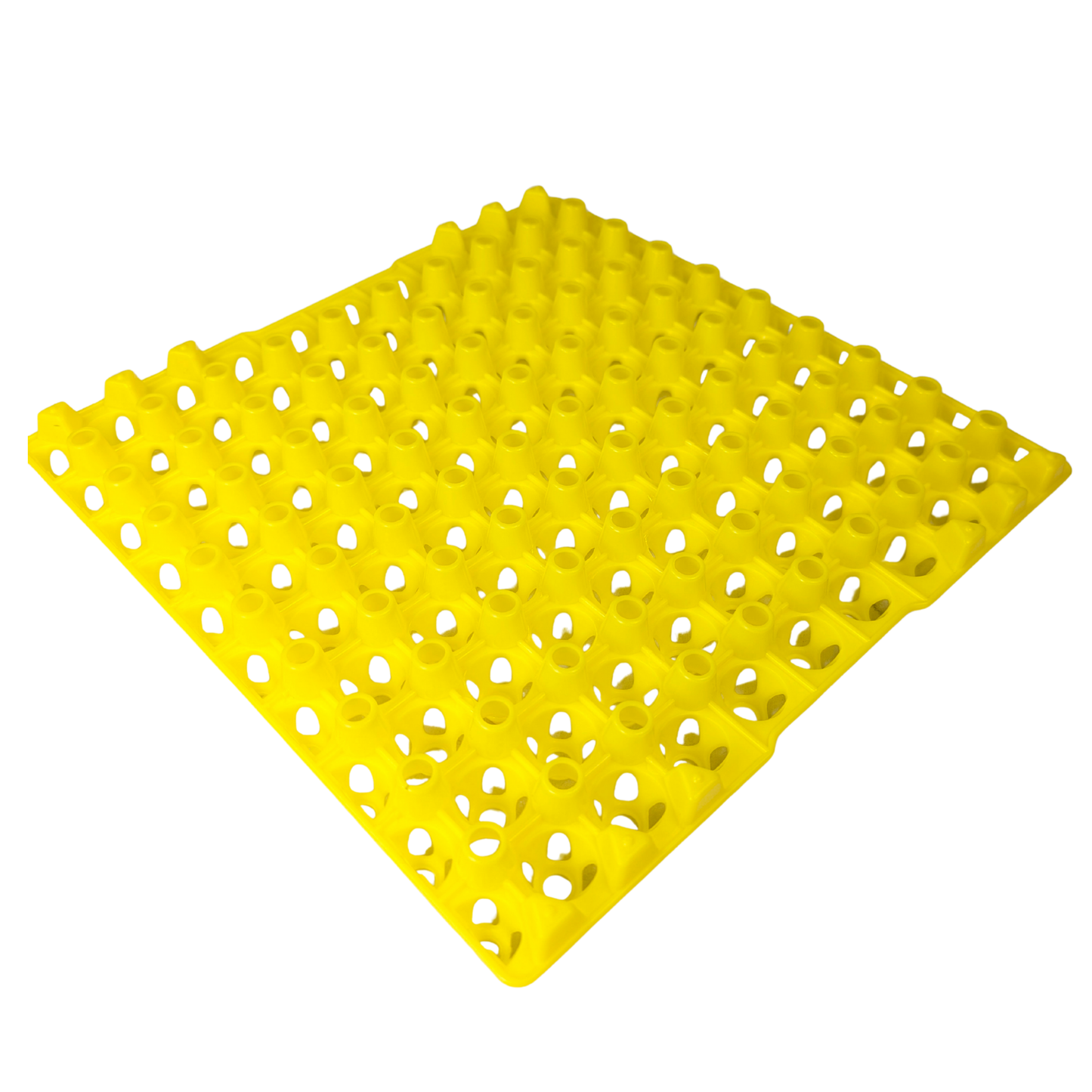 Hen's Choice 90 Egg Plastic Trays for Quail, Pigeon, Dove, Small Birds