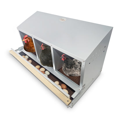 Hen's Choice™ - Roll Out Chicken Nest Box | Roll Away Chicken Nesting Box | 3 Compartment 36"