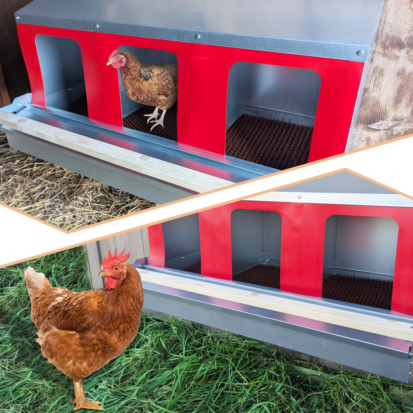 Hen's Choice™ - Roll Out Chicken Nest Box | Roll Away Chicken Nesting Box | 3 Compartment 36"